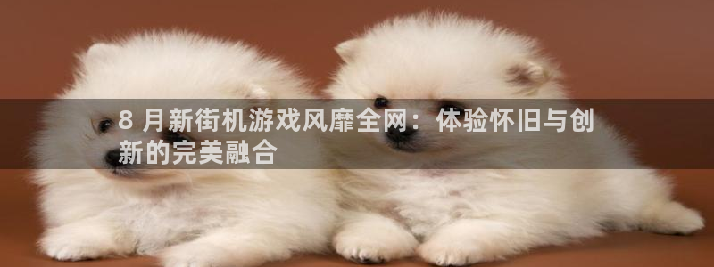 新城平台负责人是谁：8 月新街机游戏风靡全网：体验怀旧与创
新的完美融合