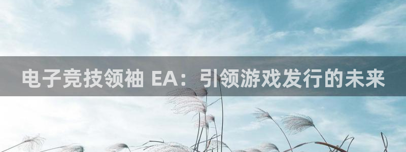 新城平台注册资金多少合适：电子竞技领袖 EA：引领游戏发行的未来