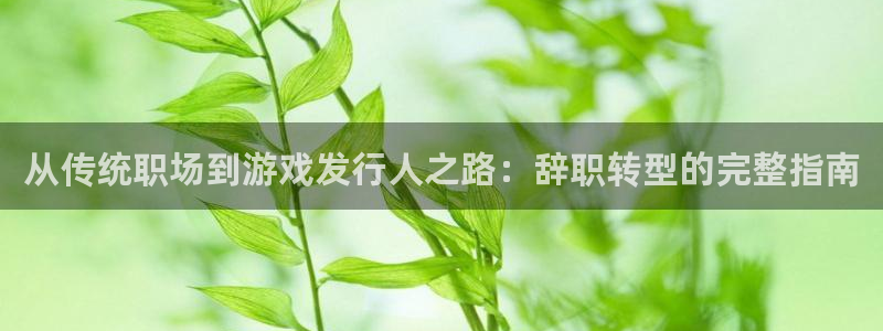 新城平台登录入口官网网址是多少：从传统职场到游戏发行人之路：辞职转型的完整指南