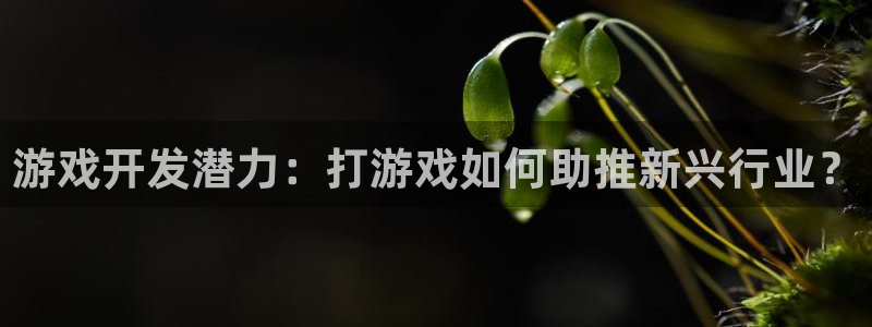新城平台是干嘛的公司：游戏开发潜力：打游戏如何助推新兴行业？