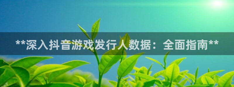 新城平台代理怎么样：**深入抖音游戏发行人数据：全面指南**