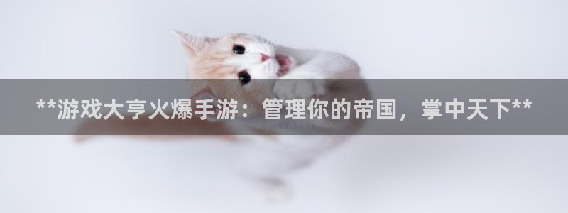 新城平台一新城注册：**游戏大亨火爆手游：管理你的帝国，掌中天下**