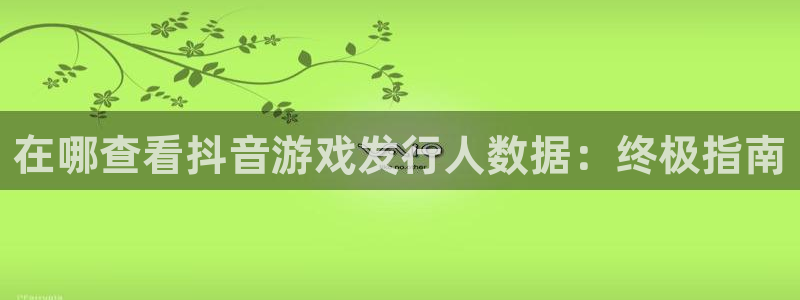新城平台线路登录不上去怎么回事呀：在哪查看抖音游戏发行人数据：终极指南