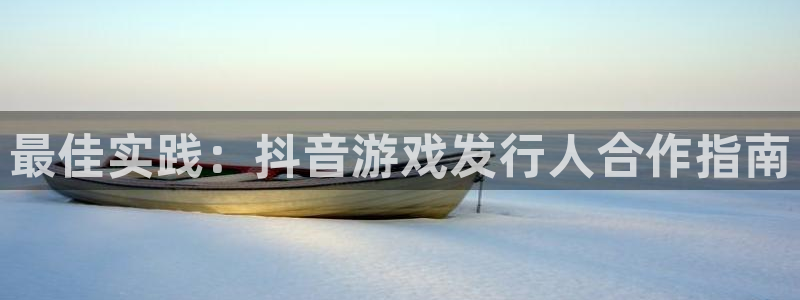 新城平台代理注册公司：最佳实践：抖音游戏发行人合作指南