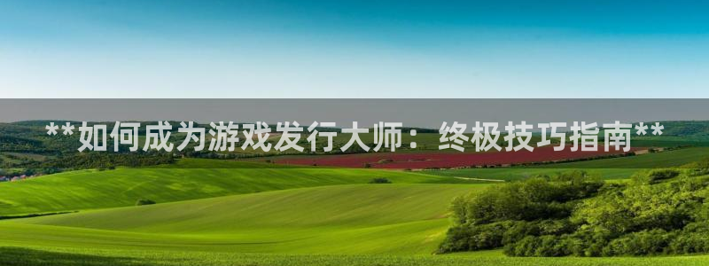 新城平台线路登录不上去了：**如何成为游戏发行大师：终极技巧指南**
