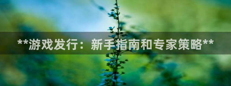 新城平台线路登录：**游戏发行：新手指南和专家策略**