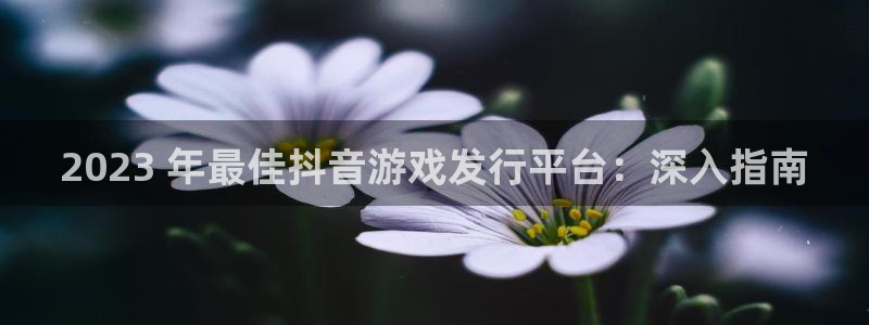 新城平台注册资金多少：2023 年最佳抖音游戏发行平台：深入指南