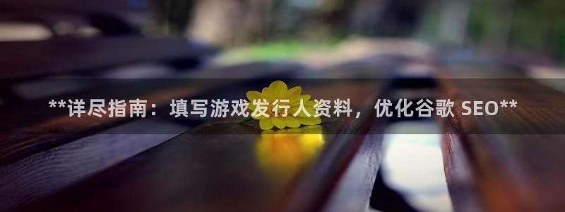 新城平台官网首页网址：**详尽指南：填写游戏发行人资料，优化谷歌 SEO**