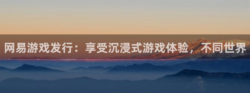新城平台是正规平台吗：网易游戏发行：享受沉浸式游戏体验，不同世界