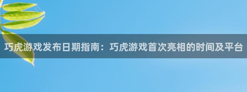 新城平台一新城注册：巧虎游戏发布日期指南：巧虎游戏首次亮相的时间及平台