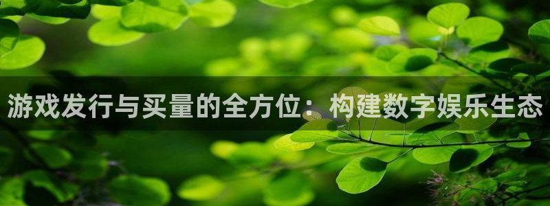 新城平台官网注册账号