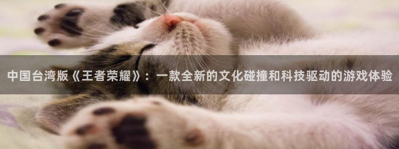 新城平台登录入口官网首页下载