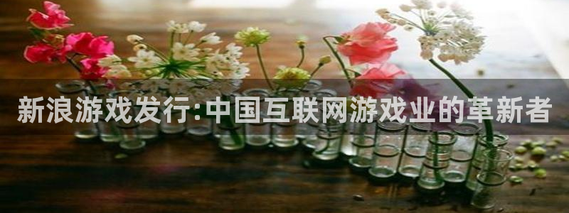 新城平台代理注册