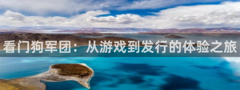 新城平台线路登录不上去了怎么回事