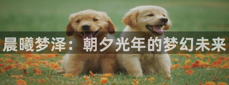 新城平台将7O777