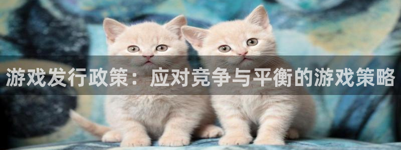 新城平台登录入口官网查询