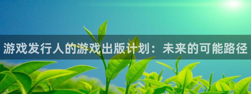 新城平台注册公司流程视频