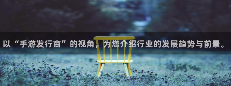 新城平台是干嘛的公司
