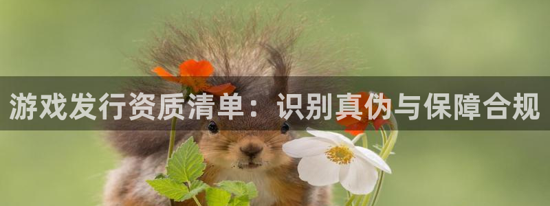 新城平台官网首页