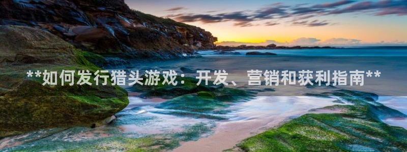 新城平台负责人电话