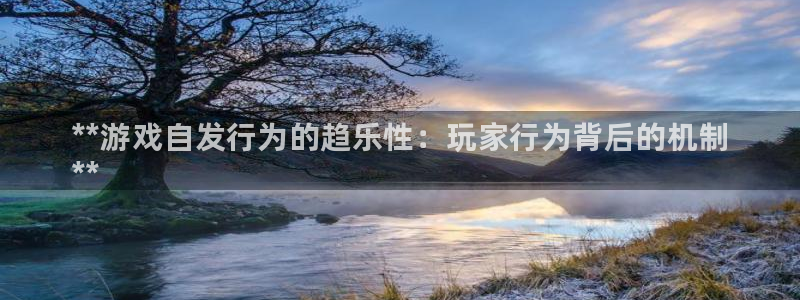 新城平台注册资金多少钱：**游戏自发行为的趋乐性：玩家行为背后的机制
**