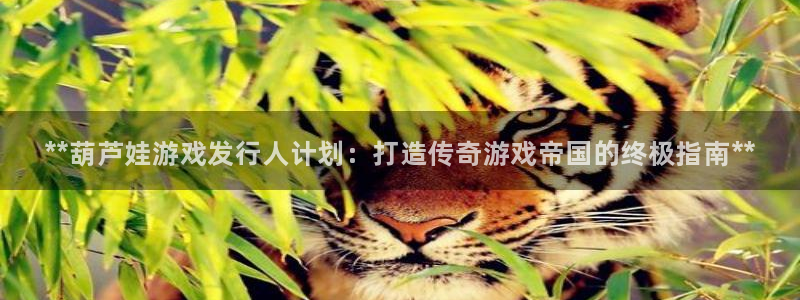 新城平台官网首页网址：**葫芦娃游戏发行人计划：打造传奇游戏帝国的终极指南**