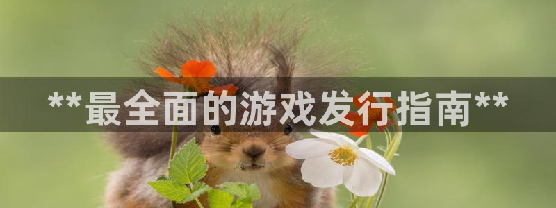 新城平台平台：**最全面的游戏发行指南**