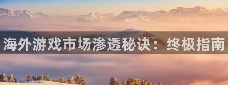 新城平台登录入口官网下载app：海外游戏市场渗透秘诀：终极指南