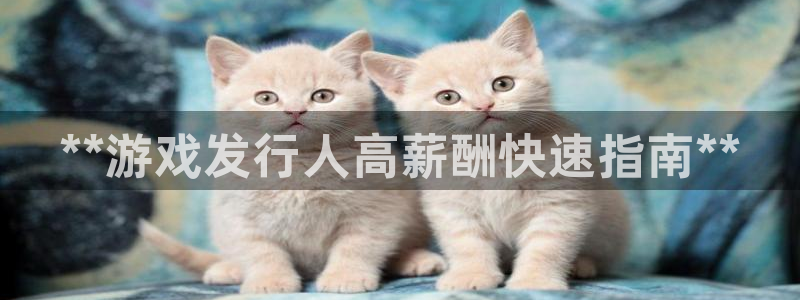 新城平台记7O777：**游戏发行人高薪酬快速指南**