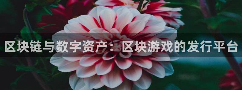 新城平台注册公司流程图