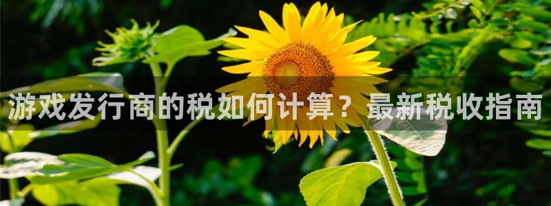 新城平台线路登录不上去了怎么办：游戏发行商的税如何计算？最新税收指南