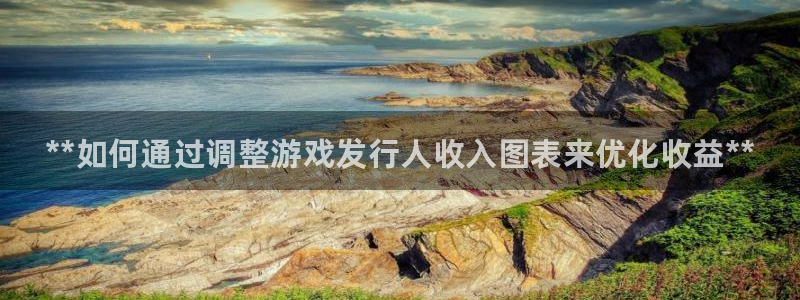 新城平台负责人是谁