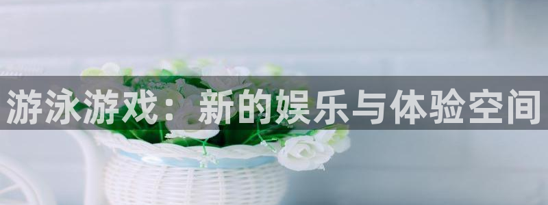 新城平台分分彩