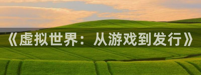 新城平台登录入口官网查询：《虚拟世界：从游戏到发行》