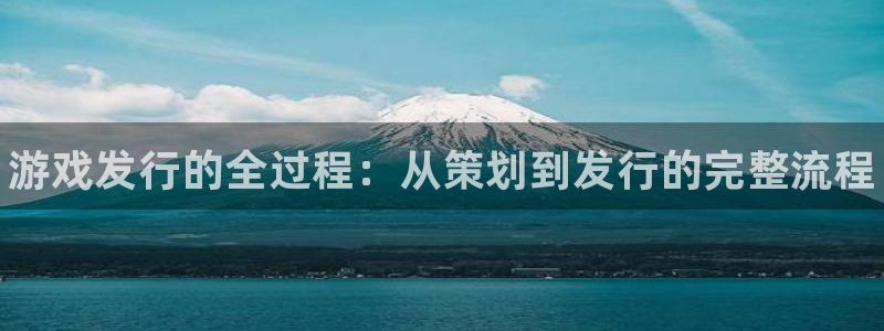 新城平台公司：游戏发行的全过程：从策划到发行的完整流程