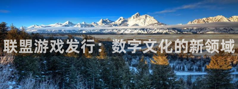 新城平台官网注册流程：联盟游戏发行：数字文化的新领域