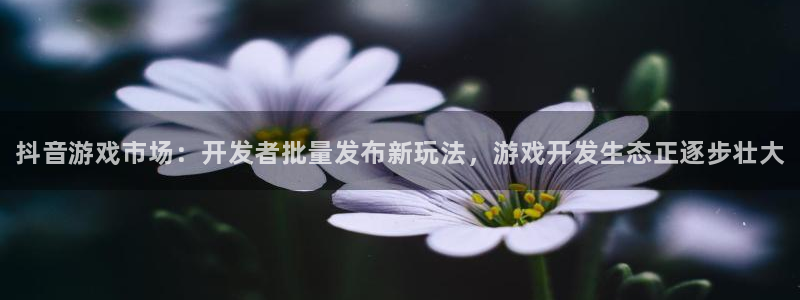 新城平台注册登录地址是什么