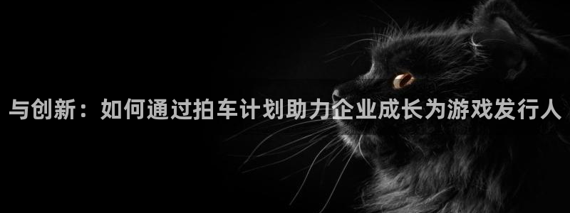 新城平台登录密码忘了怎么找回