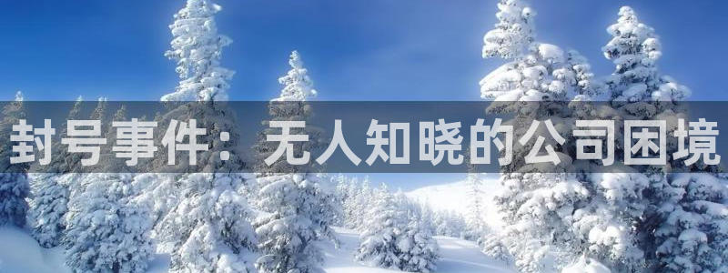 新城平台平台最新活动信息：封号事件：无人知晓的公司困境