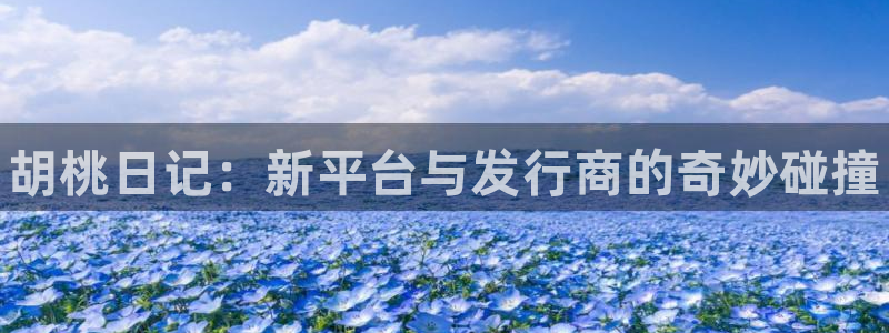 新城平台登录入口官网查询：胡桃日记：新平台与发行商的奇妙碰撞